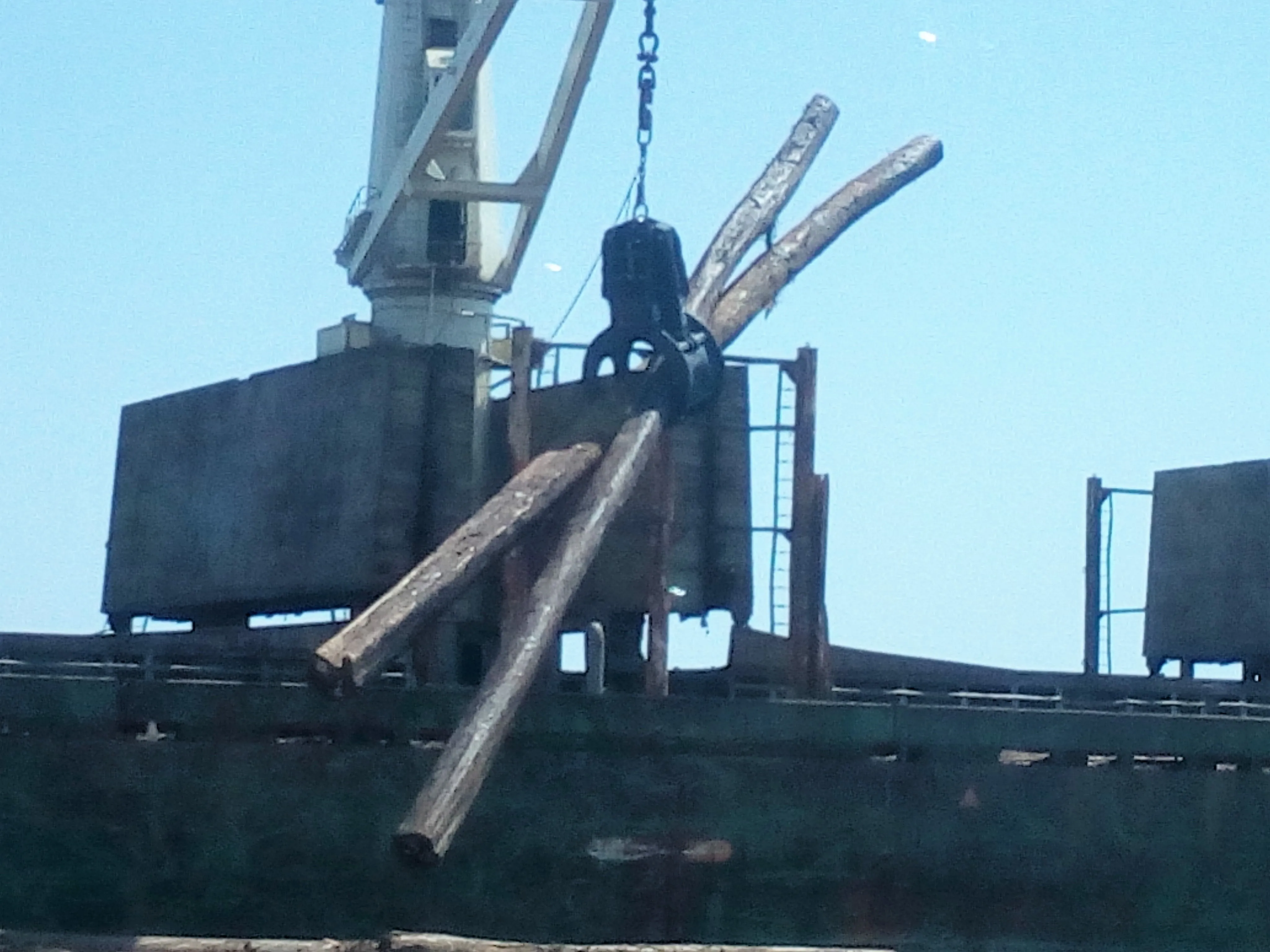Electro Hydraulic Log-Timber Grabs for Wood